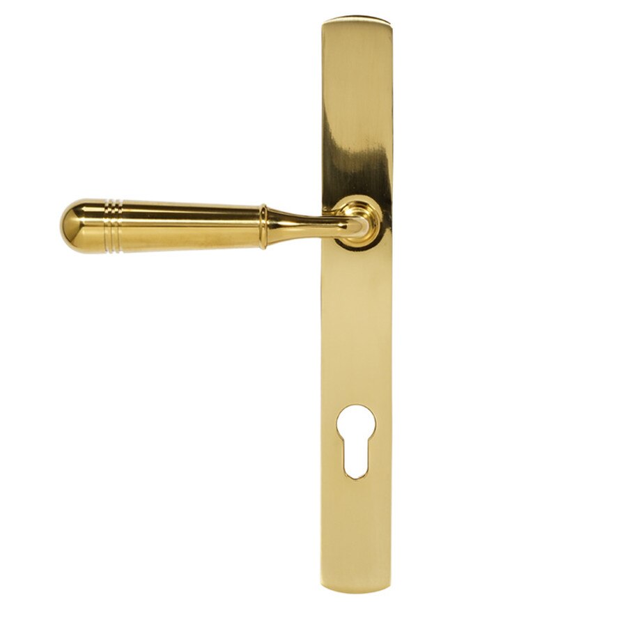 polished brass door handle